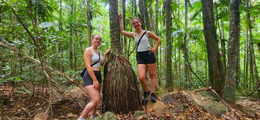 Airlie Beach: Waterfall & Rainforest Bushwalk Eco Adventure - Key points to know before you book