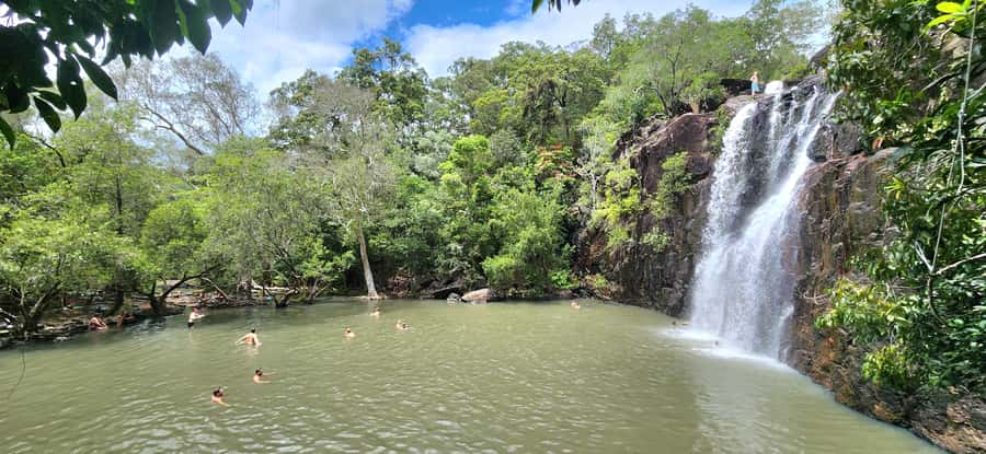 Airlie Beach: Waterfall & Rainforest Bushwalk Eco Adventure - Cedar Creek Falls and a freshwater hour