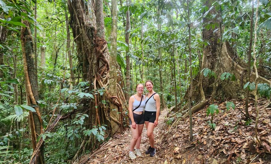 Airlie Beach: Waterfall & Rainforest Bushwalk Eco Adventure - Why the small group changes the experience