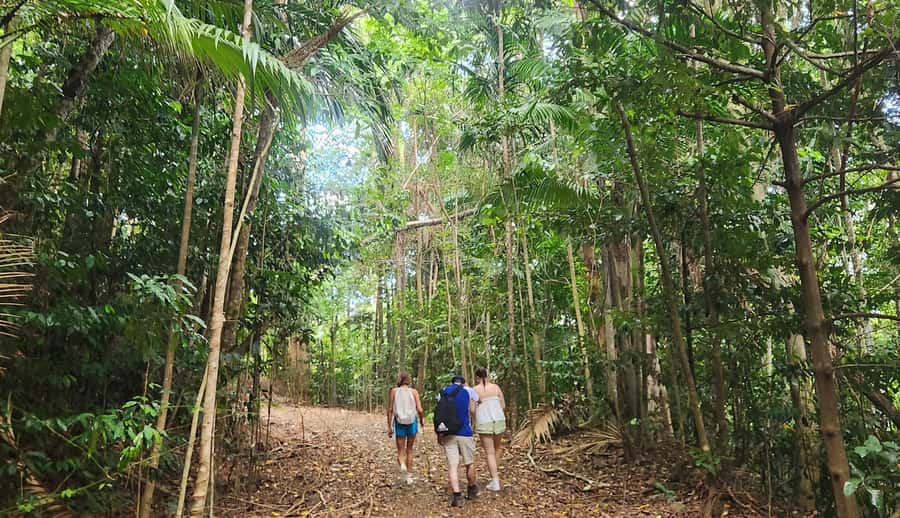 Airlie Beach: Waterfall & Rainforest Bushwalk Eco Adventure - Practical preparation for the bushwalk and swim