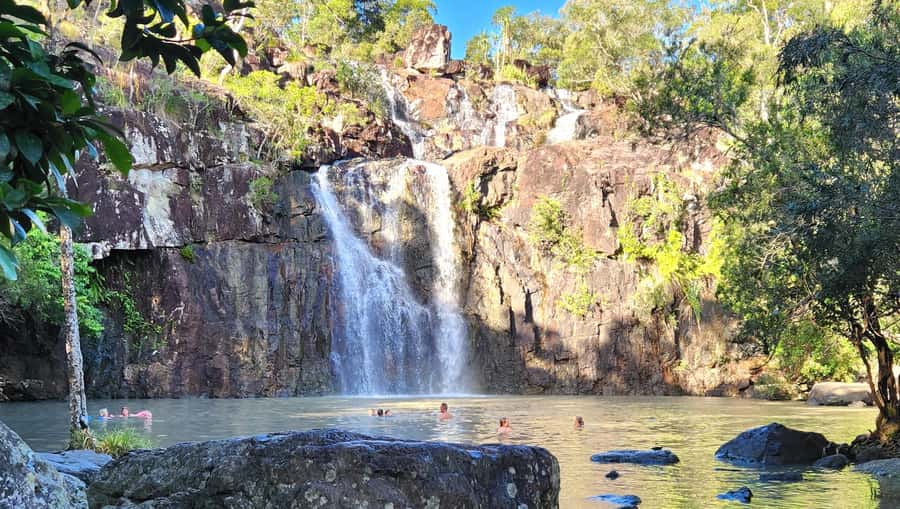 Airlie Beach: Waterfall & Rainforest Bushwalk Eco Adventure - The guide makes the difference