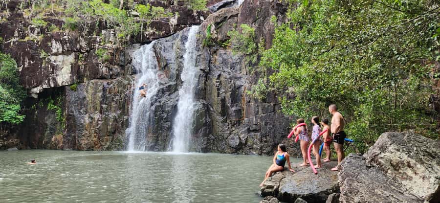 Airlie Beach: Waterfall & Rainforest Bushwalk Eco Adventure - Should you book the Cedar Creek Falls tour?