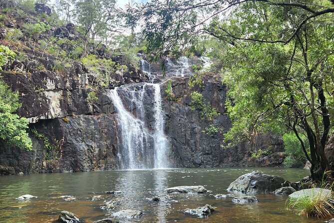 Airlie Waterfalls & Rainforest Bushwalk Eco Adventure - Guides are a central part of the experience