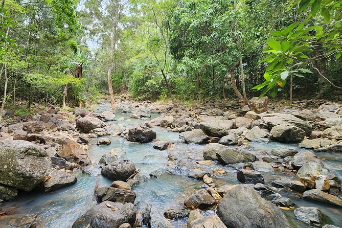 Airlie Waterfalls & Rainforest Bushwalk Eco Adventure - Transport, meeting point, and timing