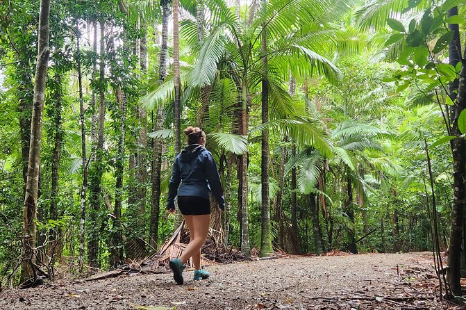 Airlie Waterfalls & Rainforest Bushwalk Eco Adventure - Is $85.56 good value?
