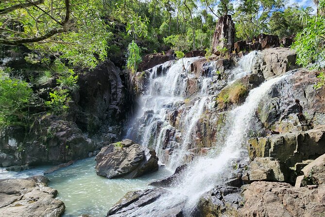 Airlie Waterfalls & Rainforest Bushwalk Eco Adventure - Who will enjoy this trip most?