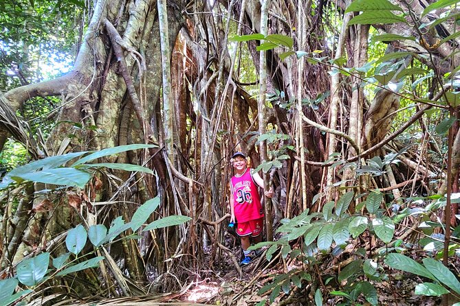 Airlie Waterfalls & Rainforest Bushwalk Eco Adventure - Practical tips for a smoother morning