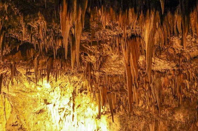 Alanya Highlights Sapadere Waterfalls, Dim Cave & Dim River - What the $30 price really gets you
