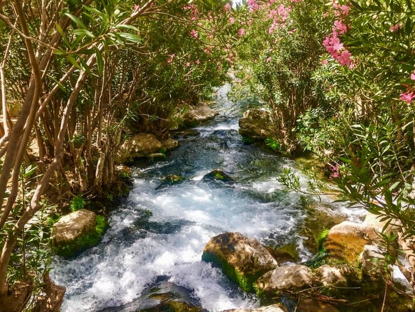 Algar Waterfalls Coach Trip - From Albir & Benidorm - Three Hours at the Falls