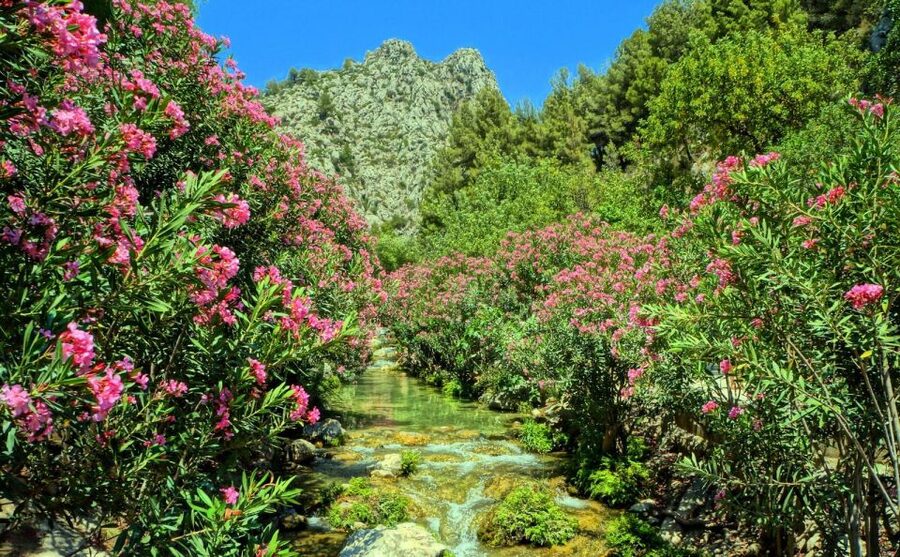 Algar Waterfalls Coach Trip - From Albir & Benidorm - Swimming, Safety, and What to Pack
