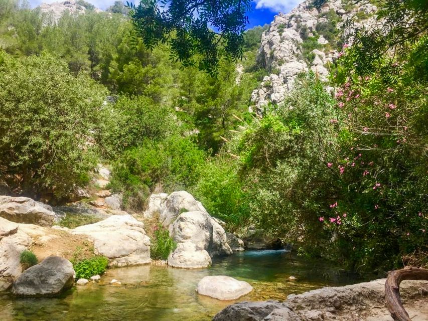 Algar Waterfalls Coach Trip - From Albir & Benidorm - Summer Crowds and the Best Feel of the Visit