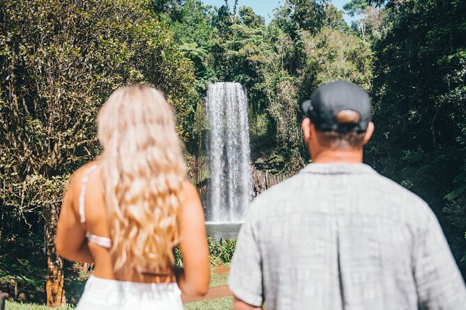 All Inclusive Waterfalls and Rainforest Tour from Cairns - Babinda Boulders brings more than scenery