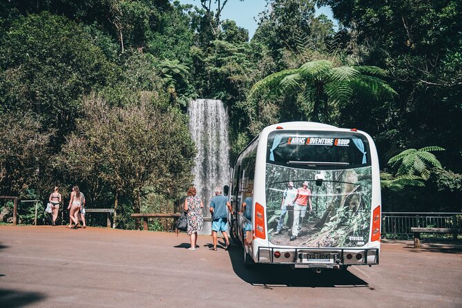 All Inclusive Waterfalls and Rainforest Tour from Cairns - Lake Eacham is a calm final swim