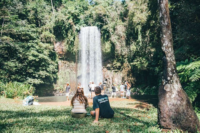 All Inclusive Waterfalls and Rainforest Tour from Cairns - The Cathedral Fig Tree adds a cultural pause