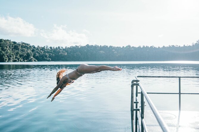 All Inclusive Waterfalls and Rainforest Tour from Cairns - What the bus ride adds, and what it takes away