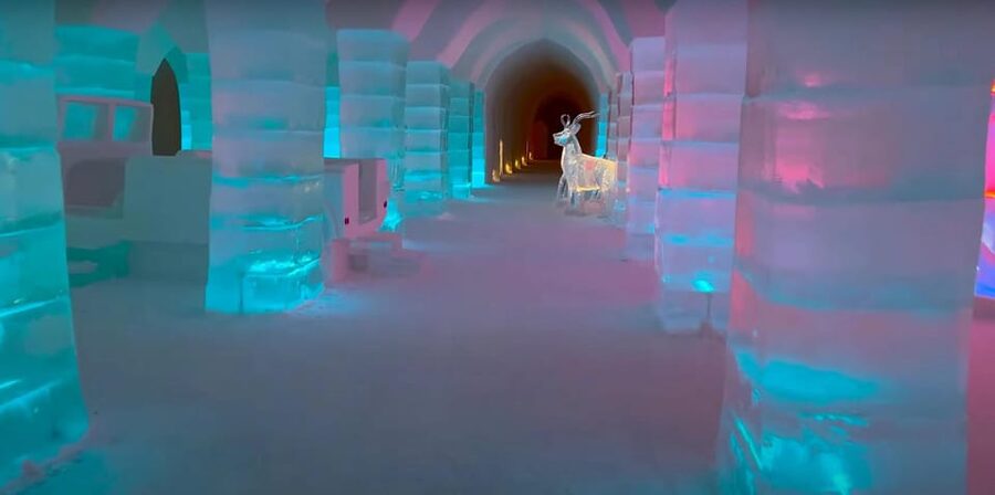 Alta: Igloo Ice Hotel and Hiking to the Frozen Waterfall. - Is $282 a fair price?