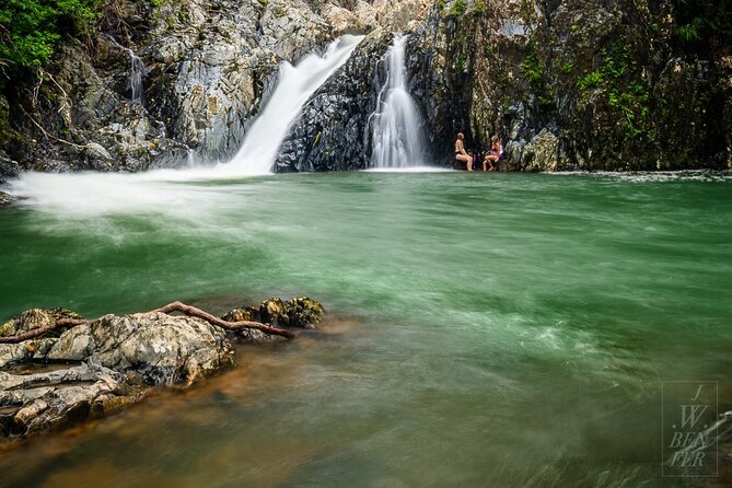 Amazing Daintree Rainforest Tour Waterfall Hike, Lunch, Swim & Crocodile Cruise - Key things to know before booking