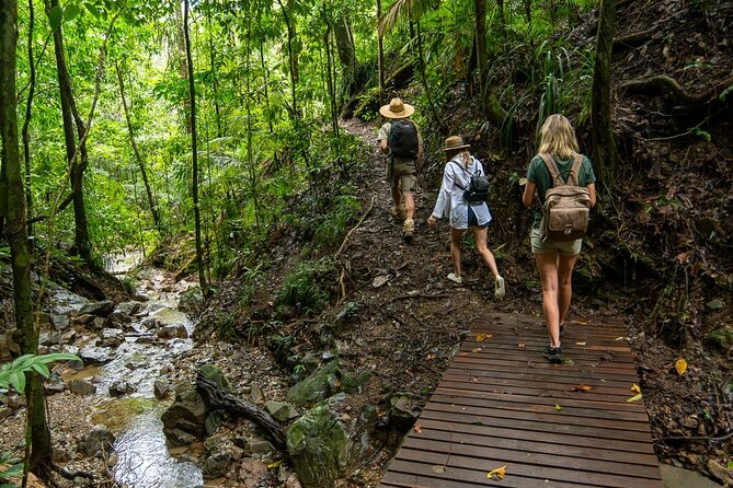 Amazing Daintree Rainforest Tour Waterfall Hike, Lunch, Swim & Crocodile Cruise - Three hours on the secluded waterfall trail