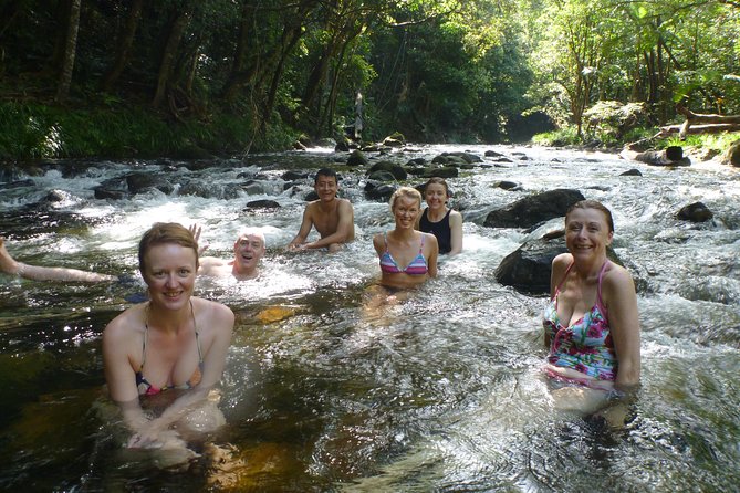 Amazing Daintree Rainforest Tour Waterfall Hike, Lunch, Swim & Crocodile Cruise - A solar-powered crocodile cruise on the Daintree River
