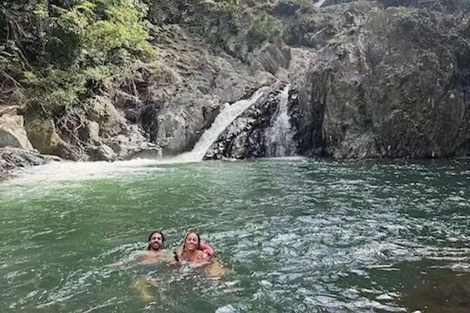 Amazing Daintree Rainforest Tour Waterfall Hike, Lunch, Swim & Crocodile Cruise - Should you book the waterfall, lunch and crocodile cruise?