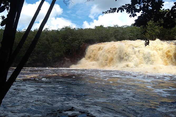 Amazon Rainforest Tour, Trails, Jungle, Caves and Waterfalls - Why this Manaus day trip is different