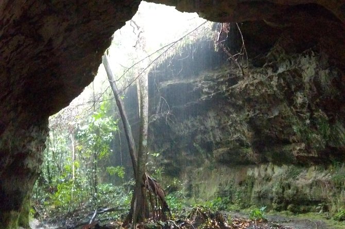 Amazon Rainforest Tour, Trails, Jungle, Caves and Waterfalls - Sucuriju and the stronger water