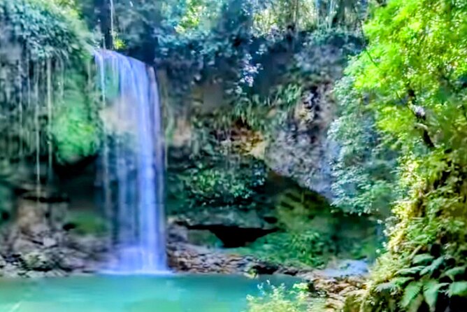 AMBER COVE-TAINO BAY 5 Zip Lines 7 Waterfalls + Locale Food - Five zip lines above the forest