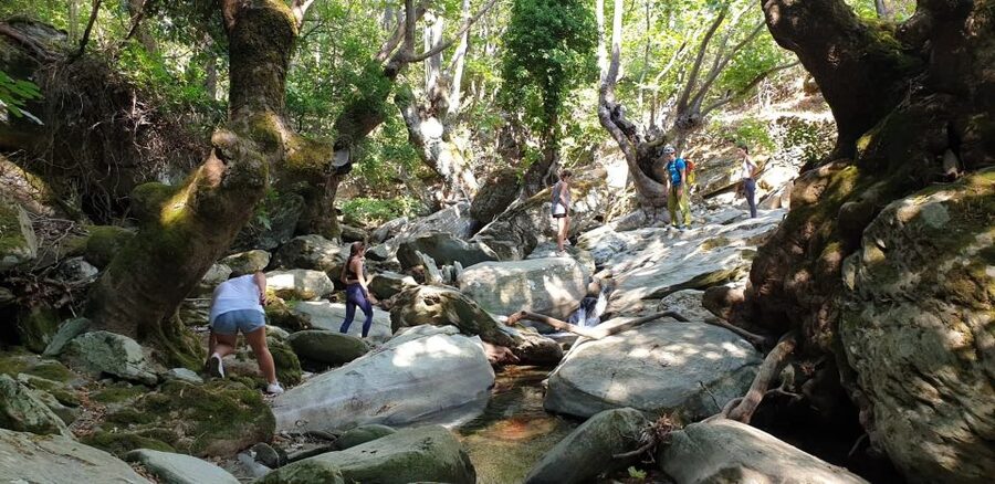 Andros: Achla River Trekking to the Waterfall - Following the Achla River through trees and streamlets