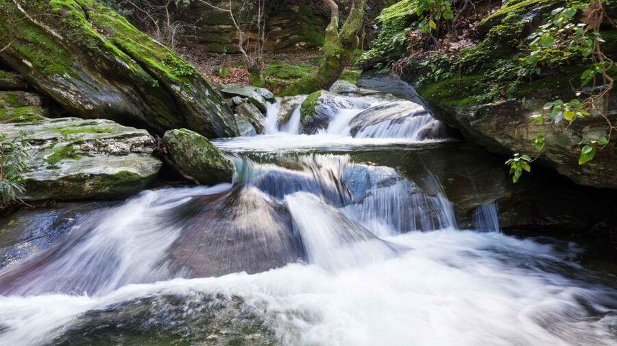 Andros: Achla River Trekking to the Waterfall - Returning by the easier route
