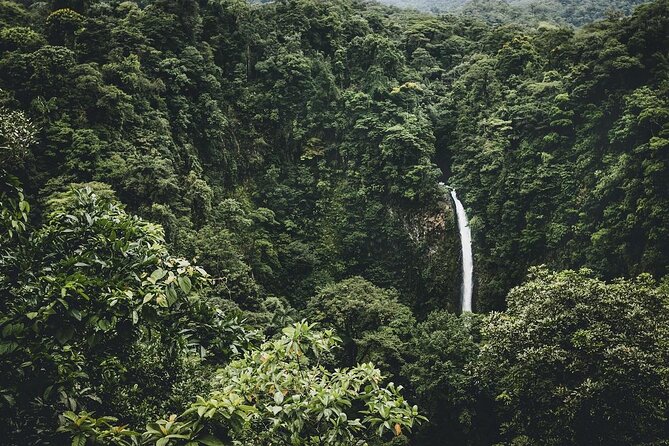 Arenal Horseback Riding to La Fortuna Waterfall - Key points before you book