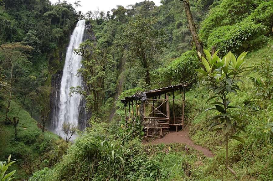 Arusha: Materuni Waterfalls, Coffee, and Hotsprings Tour - What this full Kilimanjaro day is really like