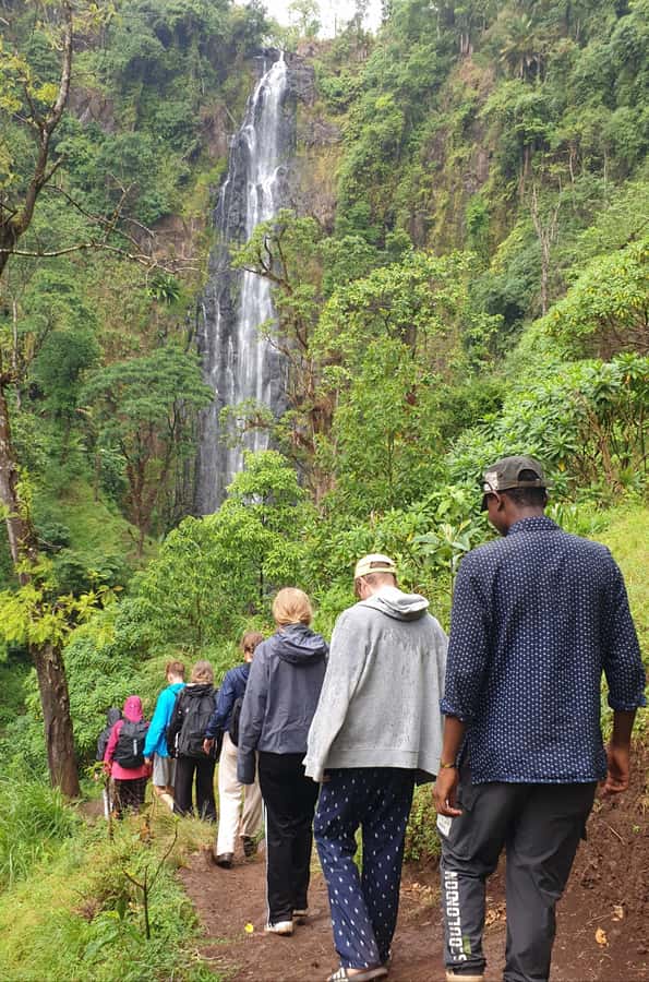 Arusha: Materuni Waterfalls, Hot Springs and/or Coffee Tour - Key Things to Know Before You Go