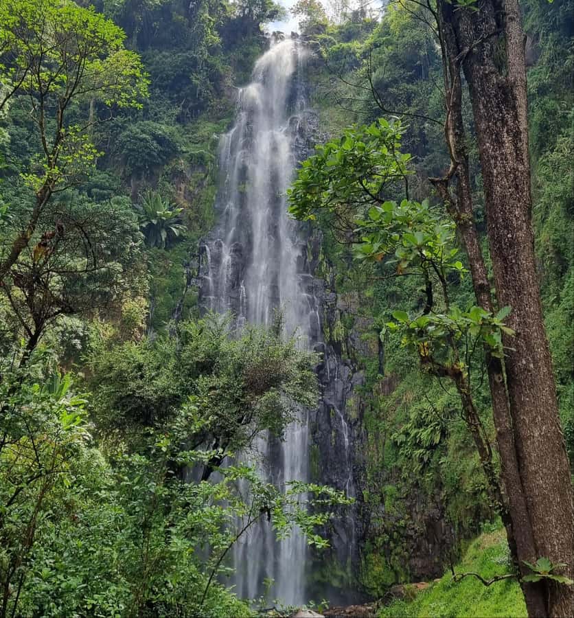 Arusha: Materuni Waterfalls, Hot Springs and/or Coffee Tour - Why This Combination Works So Well