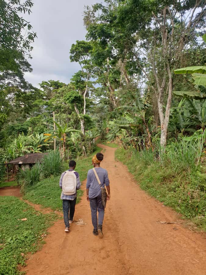 Arusha: Materuni Waterfalls, Hot Springs and/or Coffee Tour - A Tanzanian Lunch After the Walk