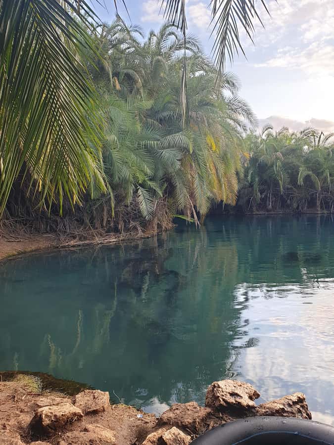 Arusha: Materuni Waterfalls, Hot Springs and/or Coffee Tour - The Drive to Chemka Hot Springs