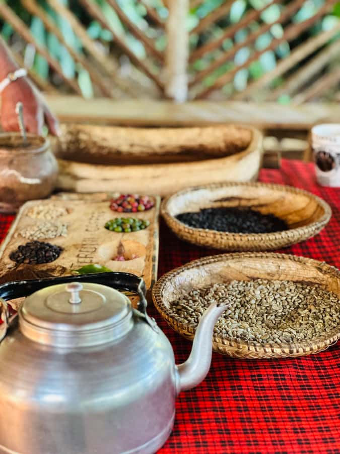 Arusha: Materuni Waterfalls, Hot Springs and/or Coffee Tour - Guides, Communication, and Safety