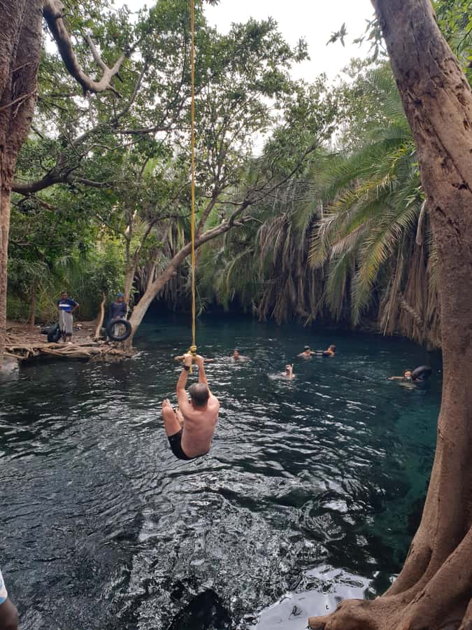 Arusha: Materuni Waterfalls, Hot Springs and/or Coffee Tour - Who Should Book This Day Trip?