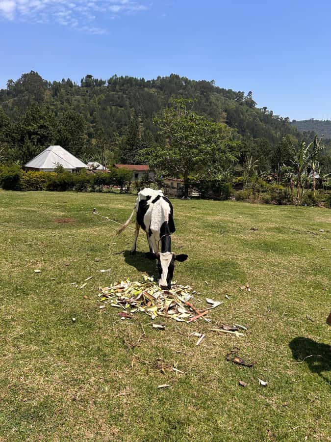 Arusha: Napuru Waterfalls Guided Hike - Leaving Arusha for the foothills