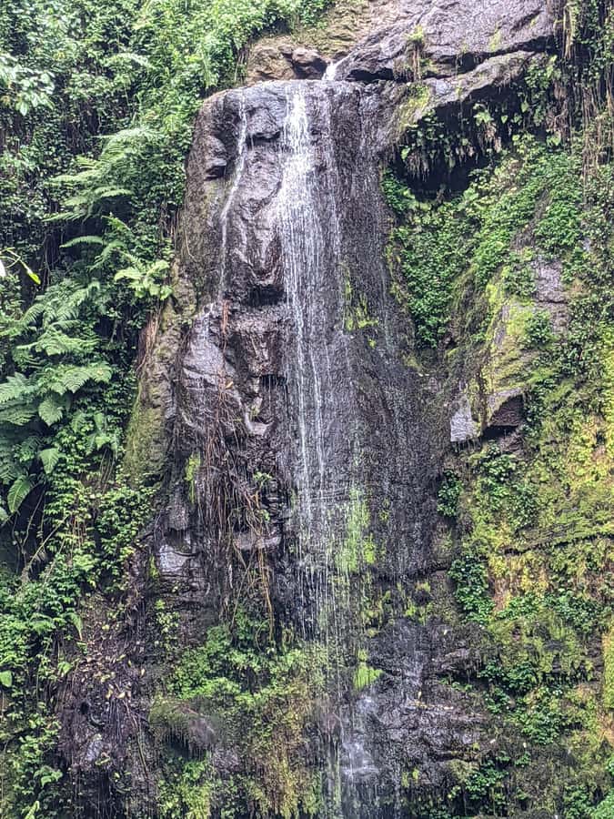 Arusha: Napuru Waterfalls Guided Hike - The final approach through the river