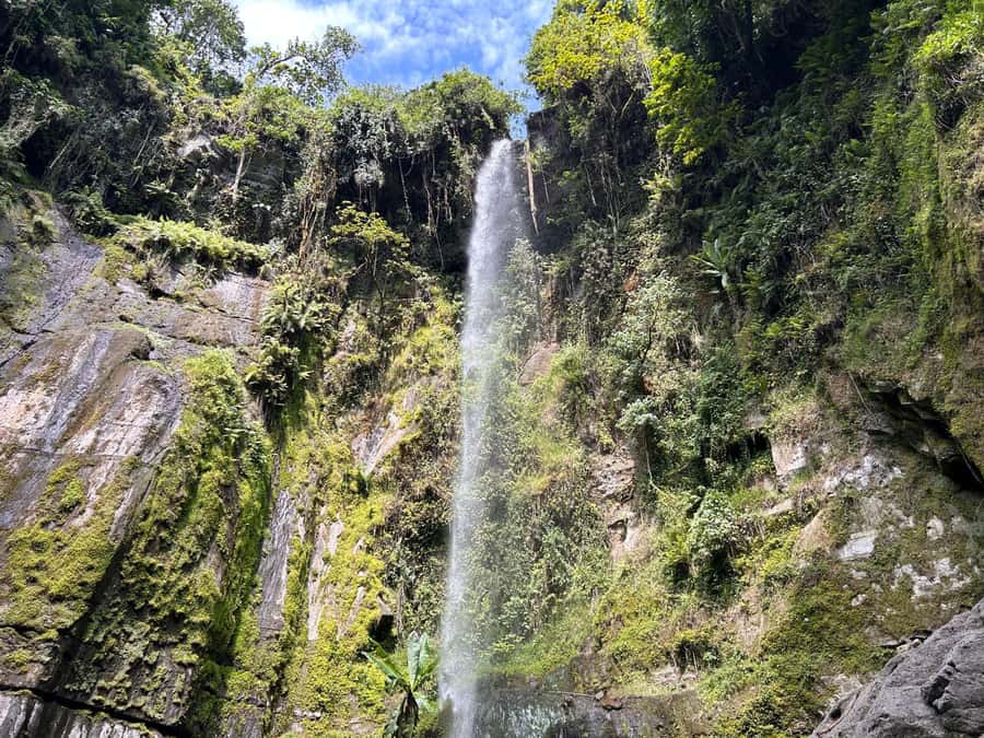 Arusha: Napuru Waterfalls Guided Hike - Entering Mount Meru Forest Reserve