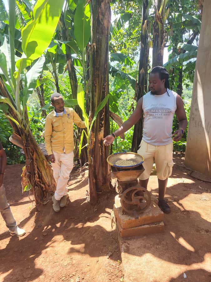Arusha or Moshi : Hot Spring, Waterfall & Coffee Farm Tour - Guides, Vehicles, and the Human Side of the Day