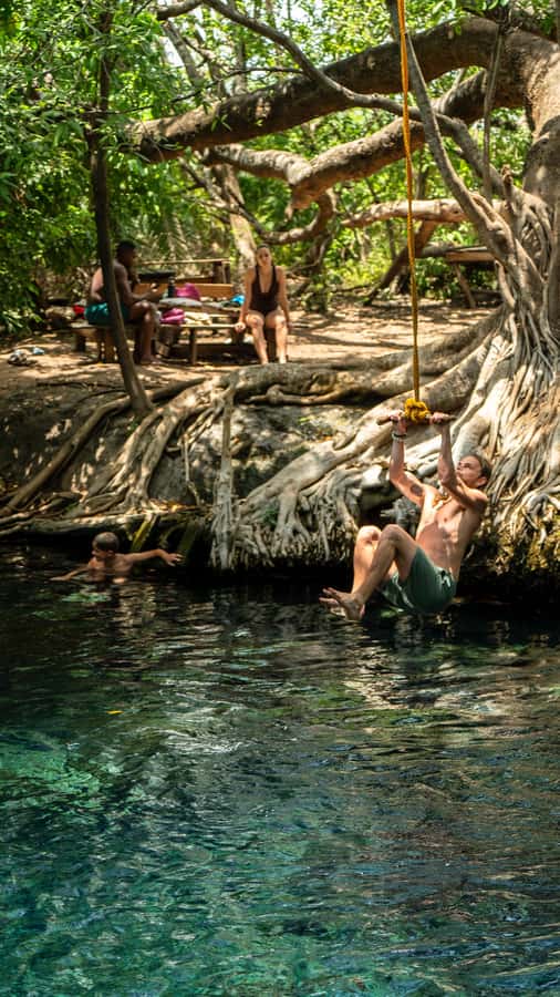 Arusha or Moshi : Hot Spring, Waterfall & Coffee Farm Tour - What to Pack for the Waterfall and Spring