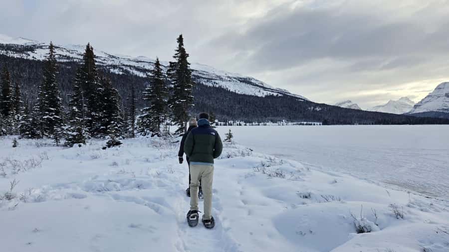 Athabasca Falls/Abraham,Sunwapta Falls, Icefield, Peyto Lake - Athabasca Glacier and the Columbia Icefield area