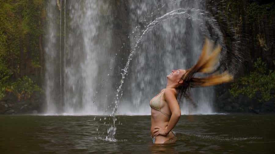 Atherton Tablelands: Lakes, Waterfalls, Rainforest Day Tour - Why this Cairns day trip works so well