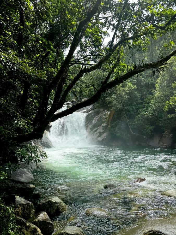 Atherton Tablelands: Lakes, Waterfalls, Rainforest Day Tour - Who should book this Atherton Tablelands tour