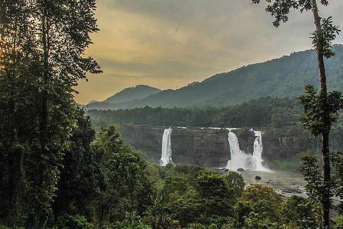 Athirappilly & Vazhachal Waterfalls Private Day Tour from Kochi - Lunch at a 4-star resort