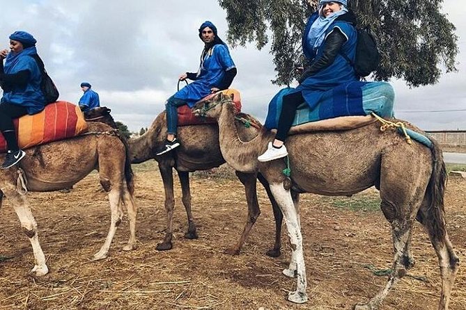 Atlas Mountain & Berber Villages and Waterfalls Day Trip from Marrakech - Tea, nuts, and a family home