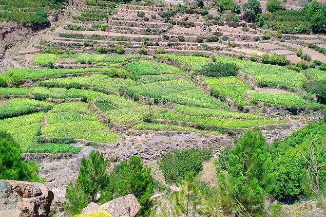 Atlas Mountain & Berber Villages and Waterfalls Day Trip from Marrakech - What the $34.89 price really buys