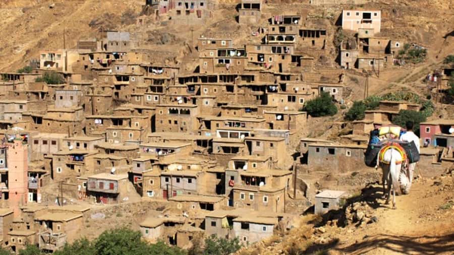 Atlas Mountain & Three Valleys Waterfalls & Desert Day Trip - Key points to know before booking
