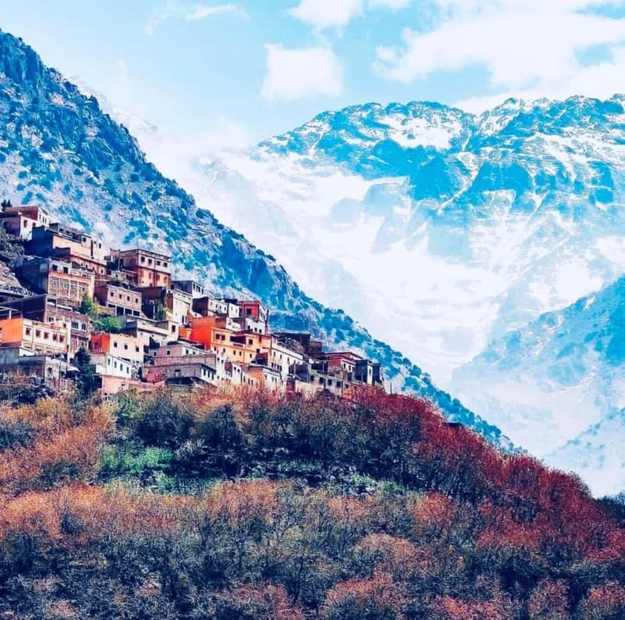 Atlas Mountain & Three Valleys Waterfalls & Desert Day Trip - Starting at Cafe Agrana at 9 am
